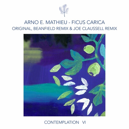Arno E. Mathieu - Contemplation VI - Ficus Carica [CPT5963]